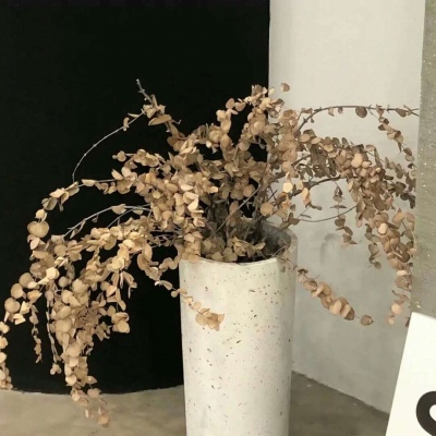 临朐FurryQQ群介绍